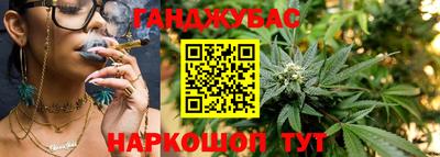 стаф Будённовск