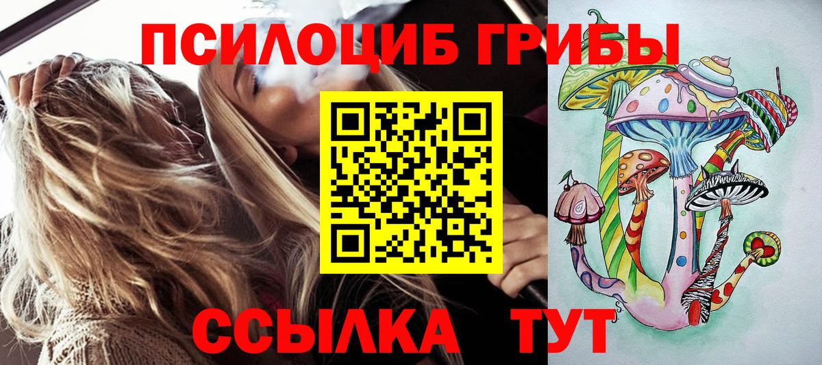 Галлюциногенные грибы Psilocybe Кунгур
