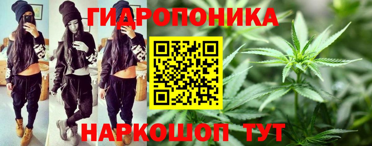 Бошки Шишки MAZAR  МАРИХУАНА LSD WEED  Кунгур  Марихуана MAZAR  Вход с VPN 
